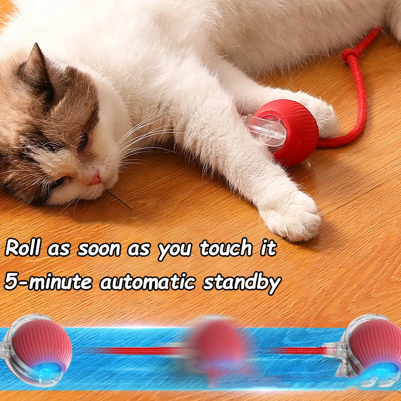 Bola Interativa para Gatos