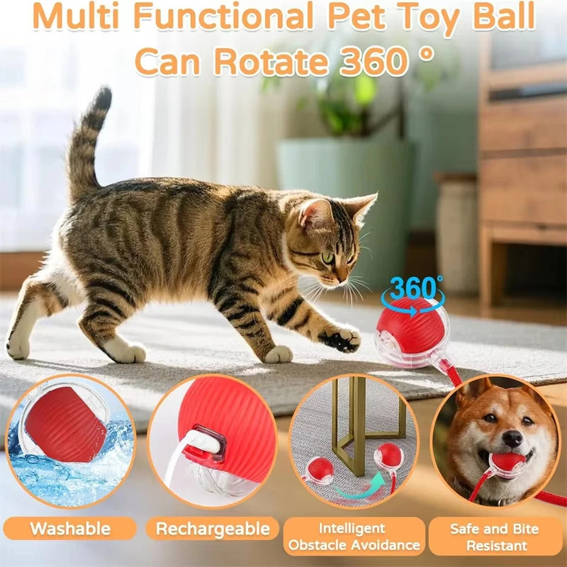 Bola Interativa para Gatos