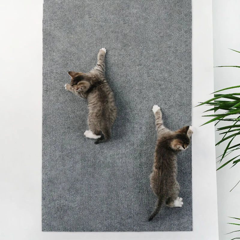Tapete Arranhador para Gatos